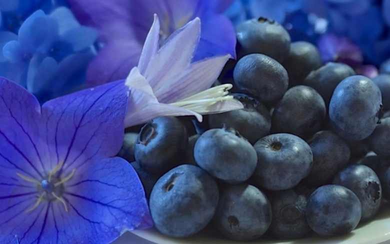 Голубика Эстетика