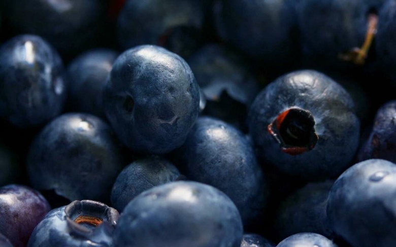 Темно синие ягоды