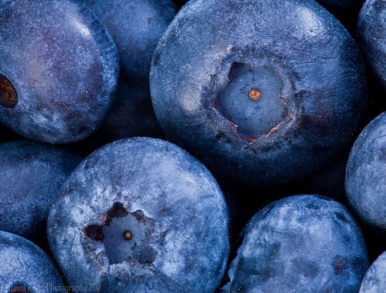 Фиолетовые ягоды