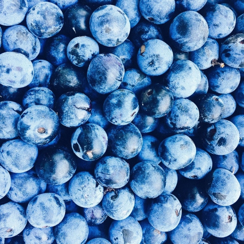 Черника blueberry