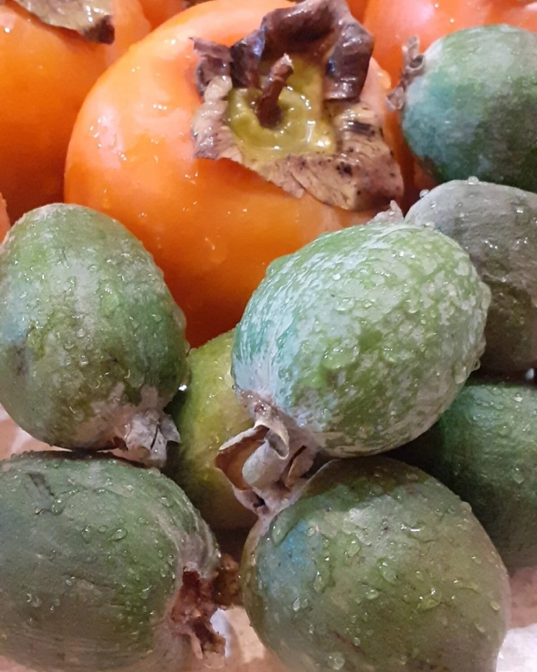 Фрукт похожий на абрикос