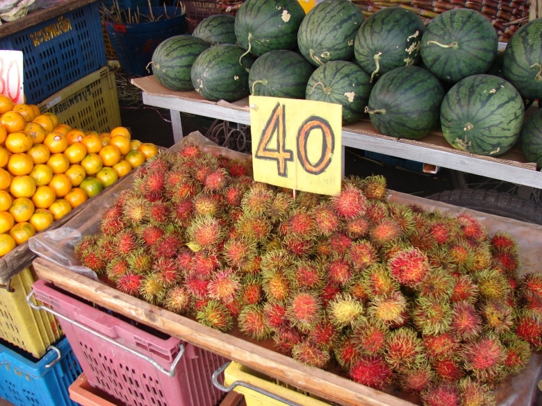 Фрукт растет на юге России