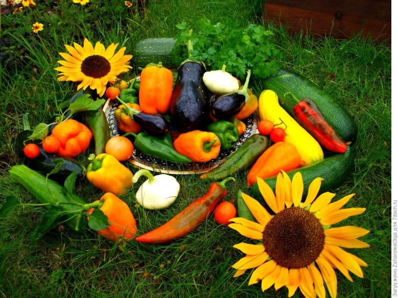 Овощи и фрукты с огорода