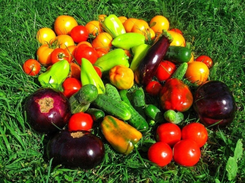 Овощи и фрукты с огорода