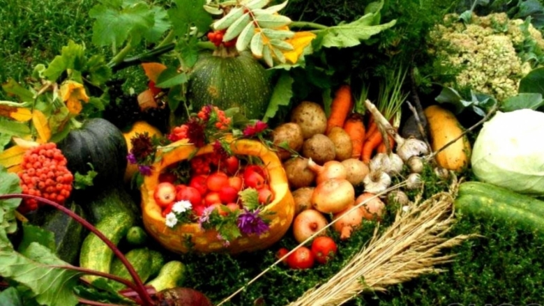 Осень огород