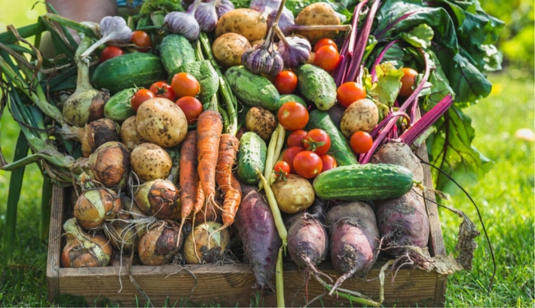 Овощи и фрукты с огорода