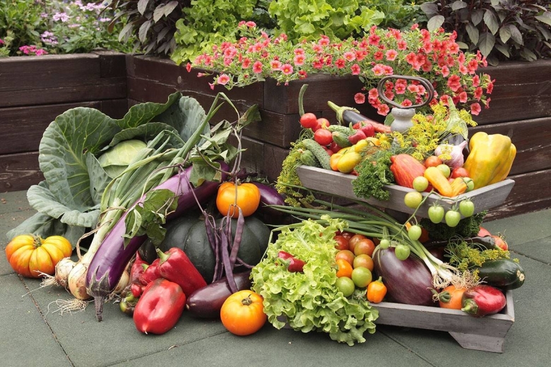 Декоративный огород Оксана Пискарева