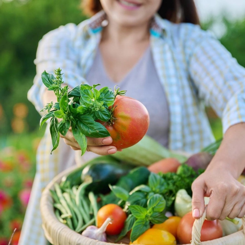 Огород овощи