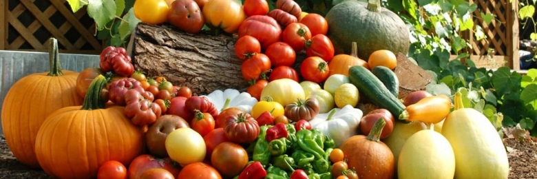 Овощи и фрукты с огорода