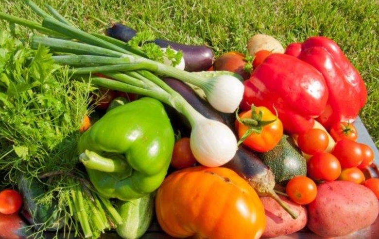 Урожай овощей