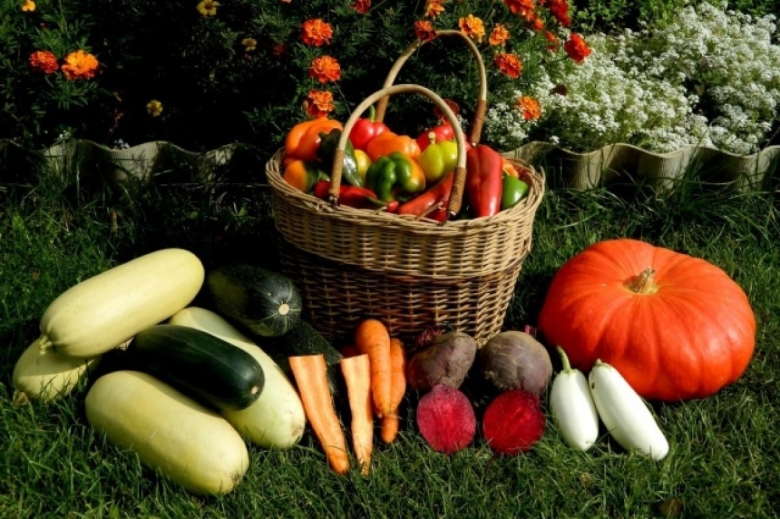 Осенний огород