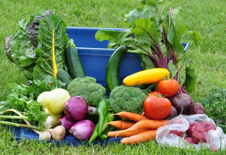Летние овощи