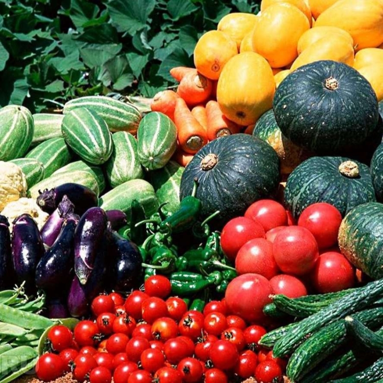 Урожай овощей