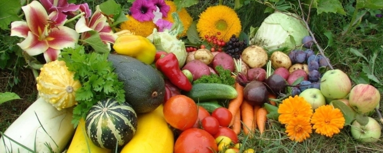 Овощи с огорода