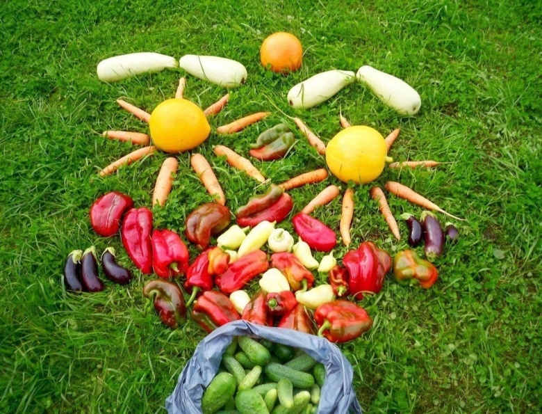 Огород урожай