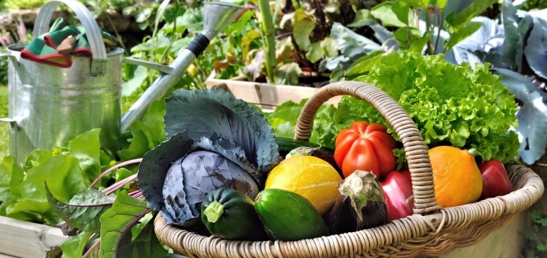 Дача сад огород