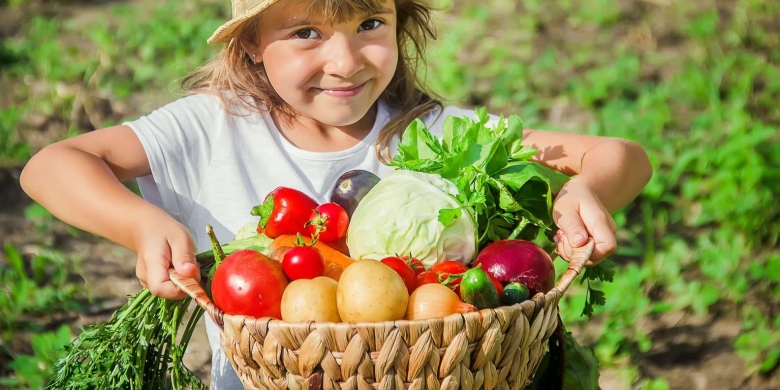 Огород для детей