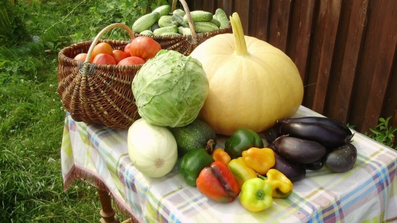Овощи и фрукты с огорода