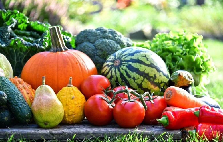 Бахчевые овощные культуры