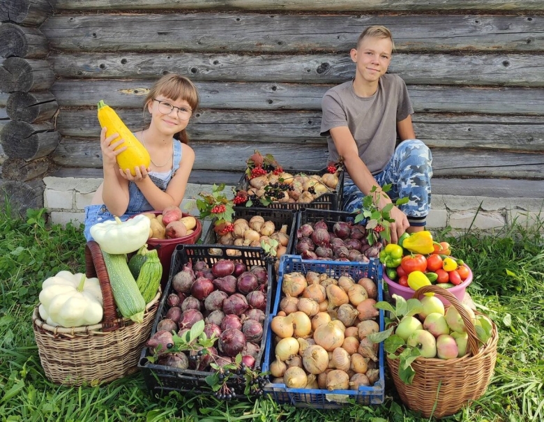 Урожай на даче