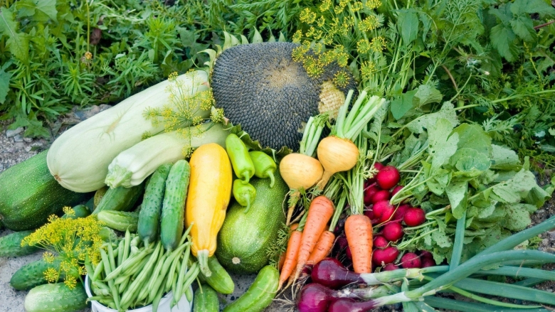 Овощи на грядке