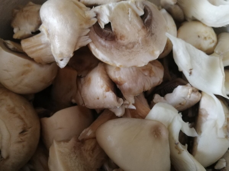 Вешенки и шампиньоны