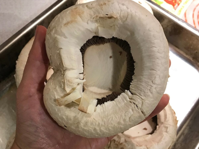 Астраханские шампиньоны как готовить