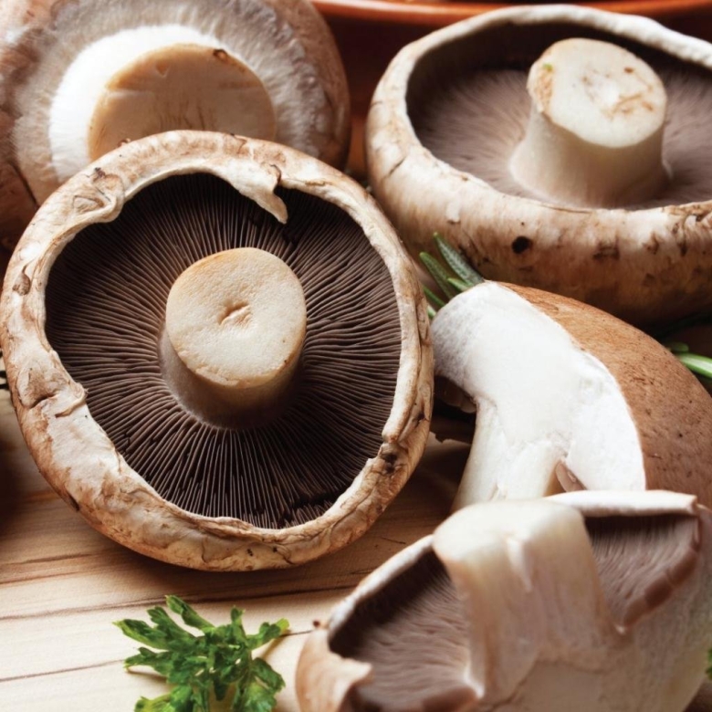 Грибы шампиньон Портобелло