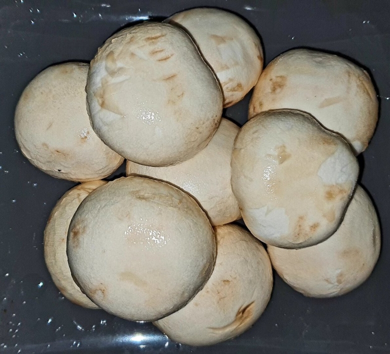 Гриб шампиньон