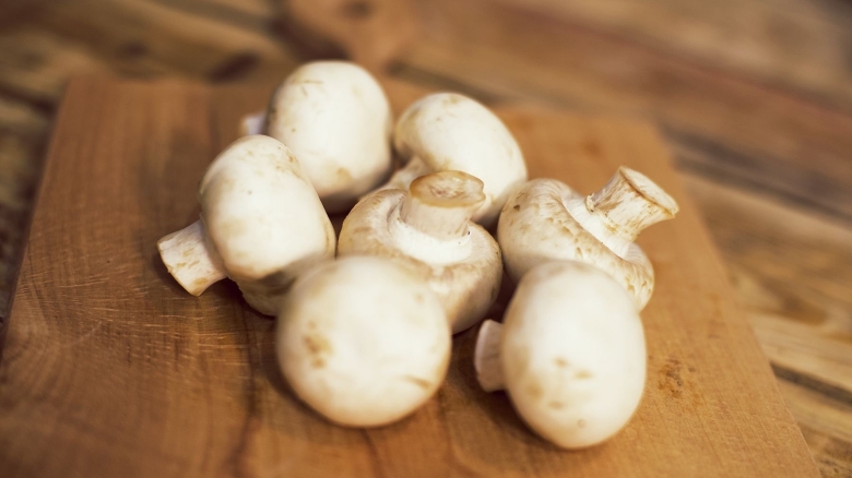 Дикие шампиньоны