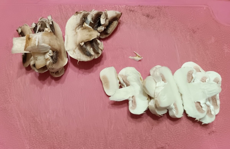 Гриб шампиньон