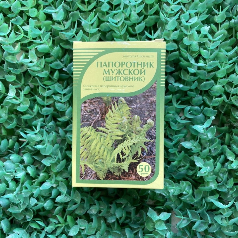 Мужской папоротник таблетки