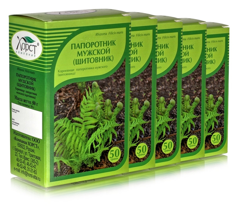 Папоротник щитовник мужской корень