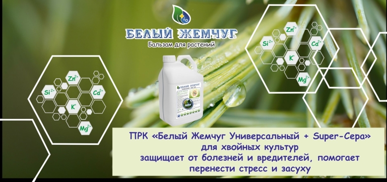 Система питания для хвойных культур в саду