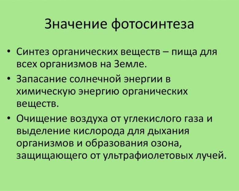 Значение фотосинтеза