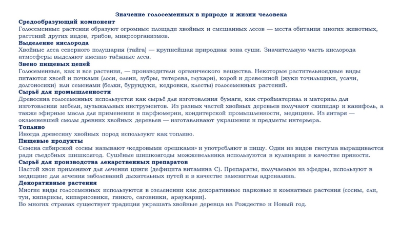 Сообщение о роли голосеменных растений