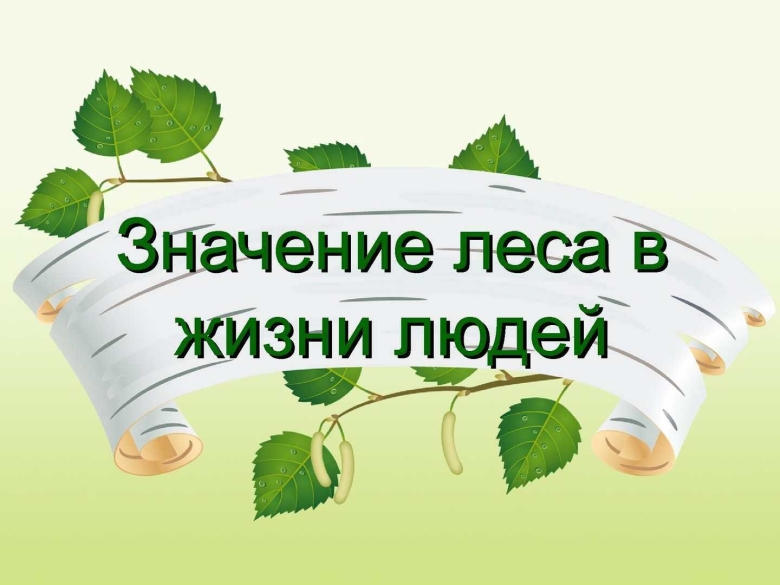 Значение леса для человека
