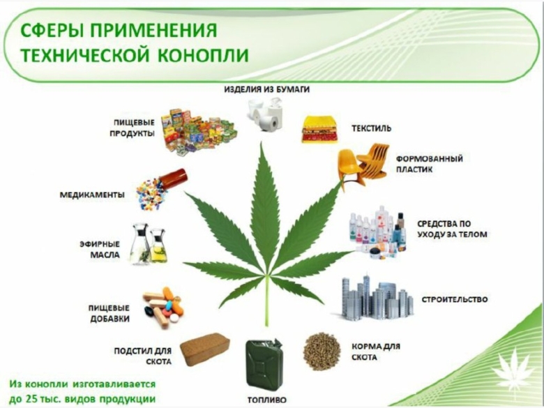 Продукция из технической конопли