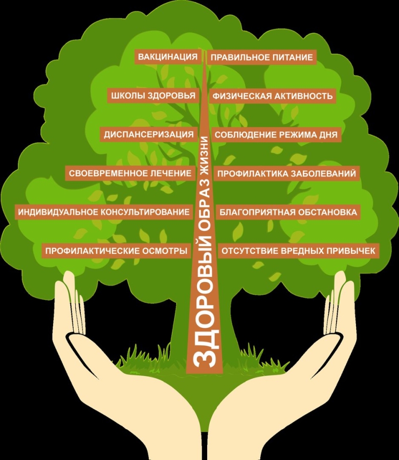 Дерево здорового образа жизни