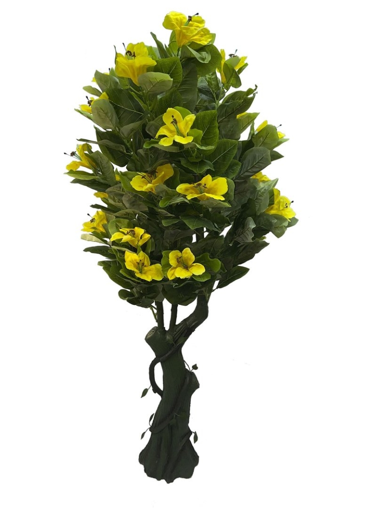 Лилейное дерево купить