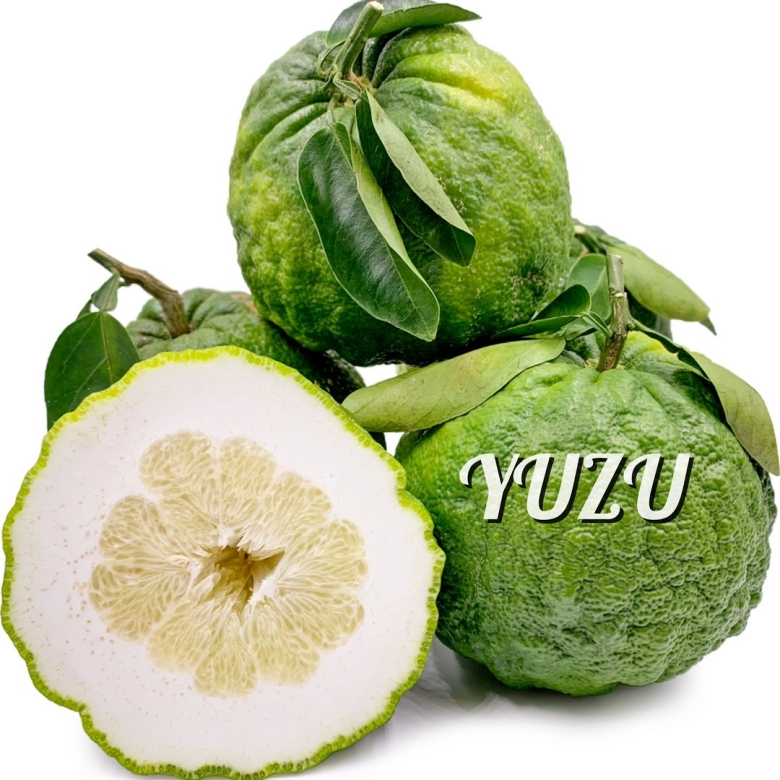 Японский лимон юдзу