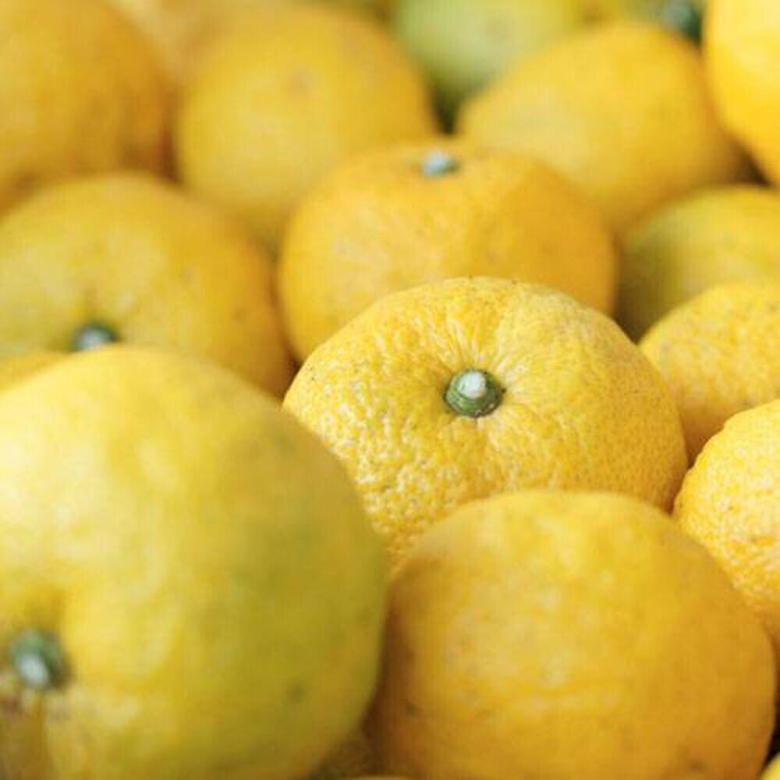 Как пахнет Юзу