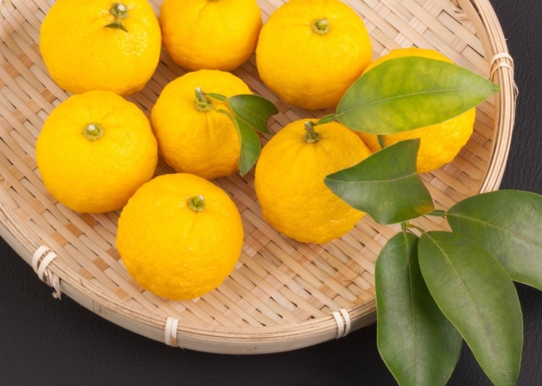 Юдзу цитрусовые
