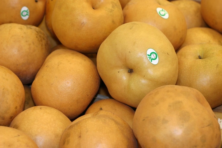 Корейская груша Олимпик