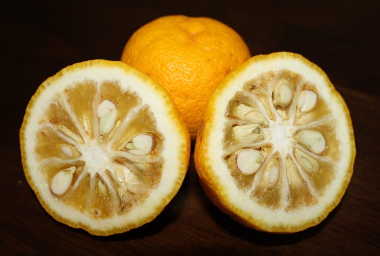 Японский цитрус юдзу