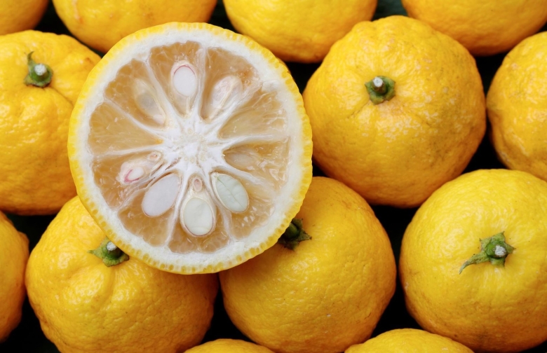 Юдзу цитрусовые