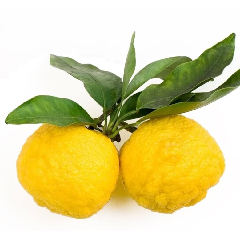 Юдзу маракуйя