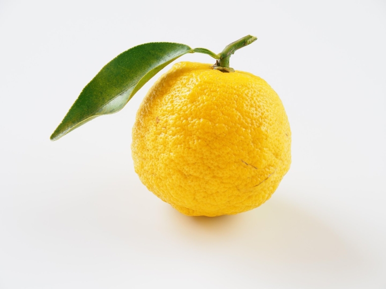 Цитрон на белом фоне