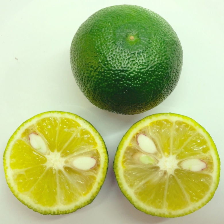 Цитрус Юзу фрукт