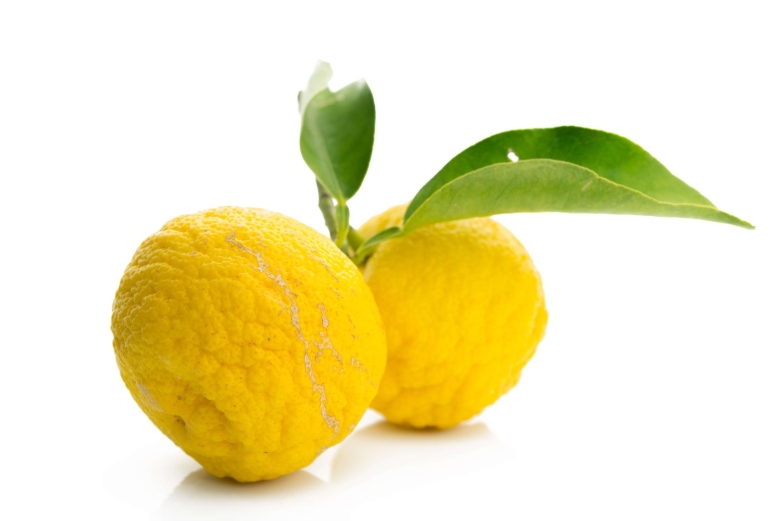 Цитрус Юзу фрукт